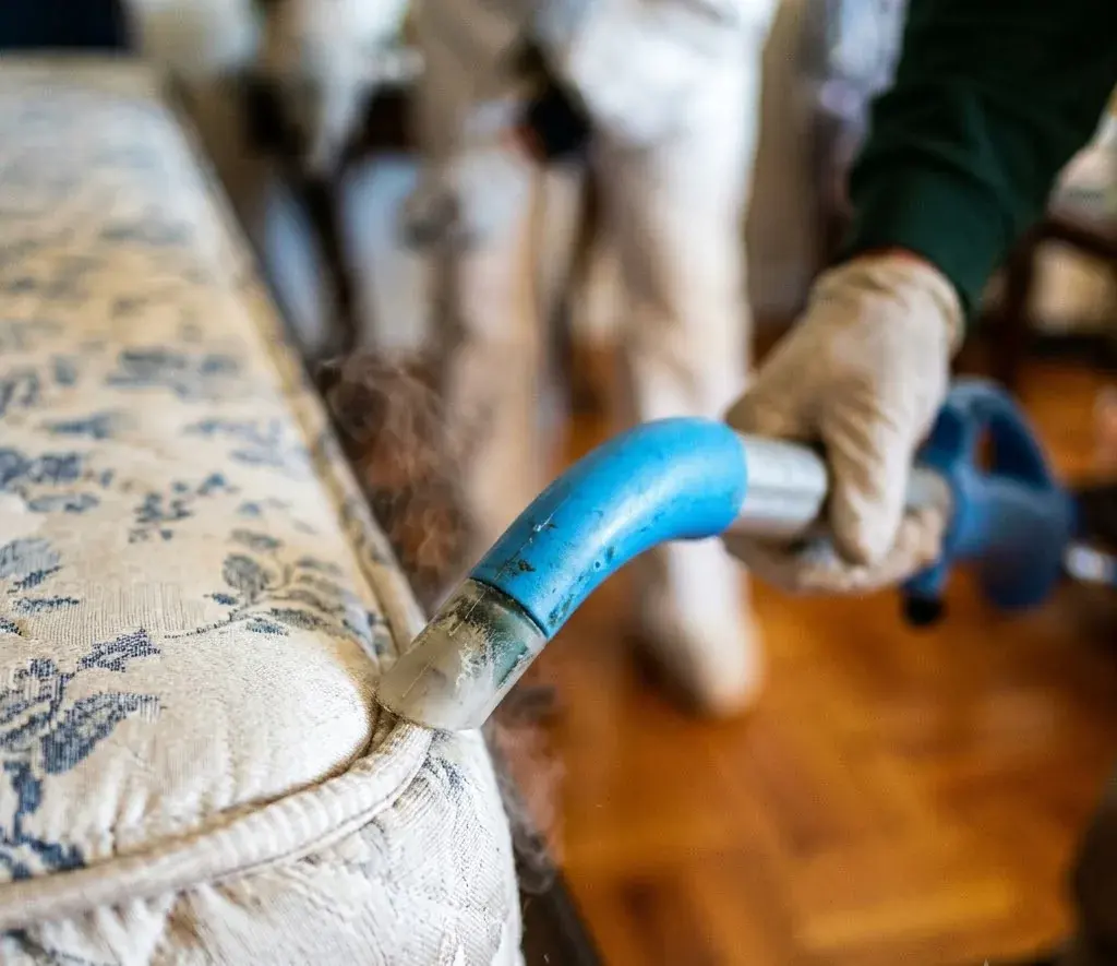 Bed Bug Treatment service in Georgetown, TX